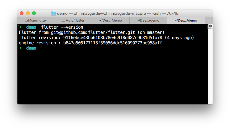 flutter version